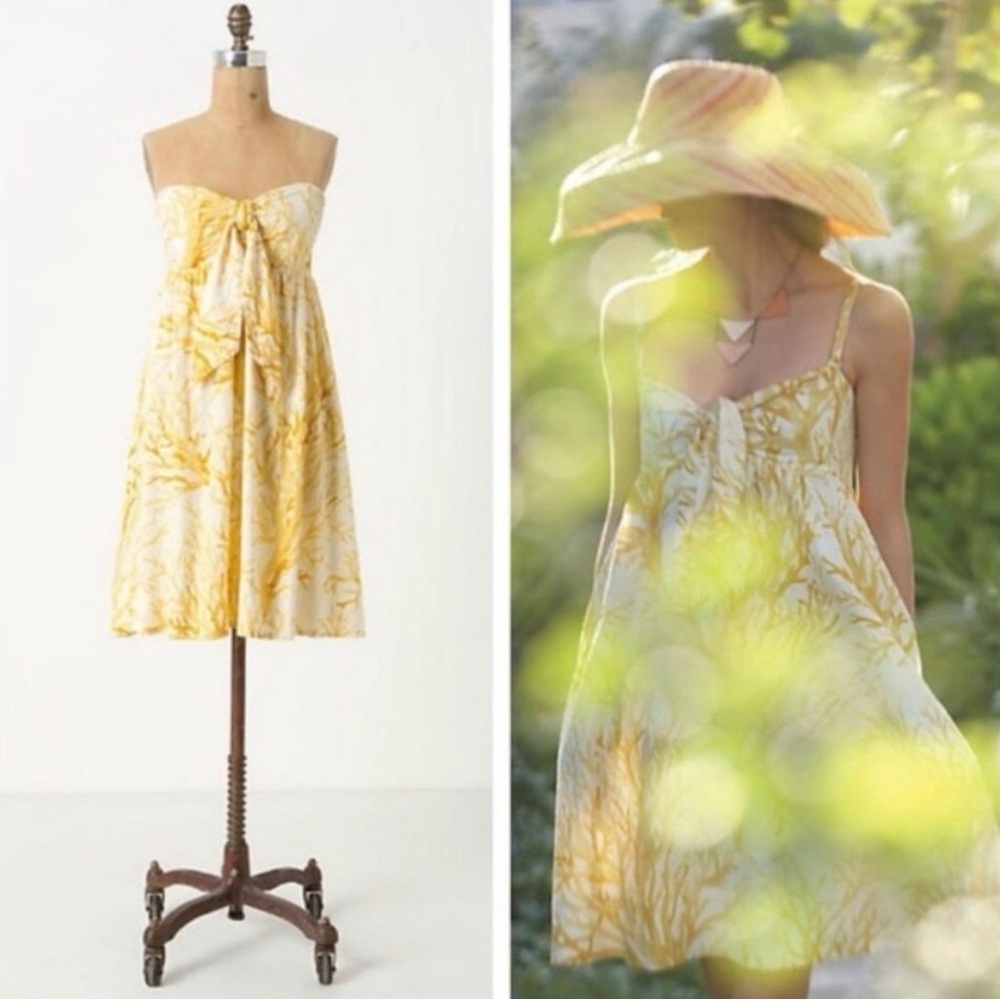 Anthropologie HD in Paris Spicifera Dress Size 4